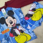 Biquini com Blusa UV Personagens